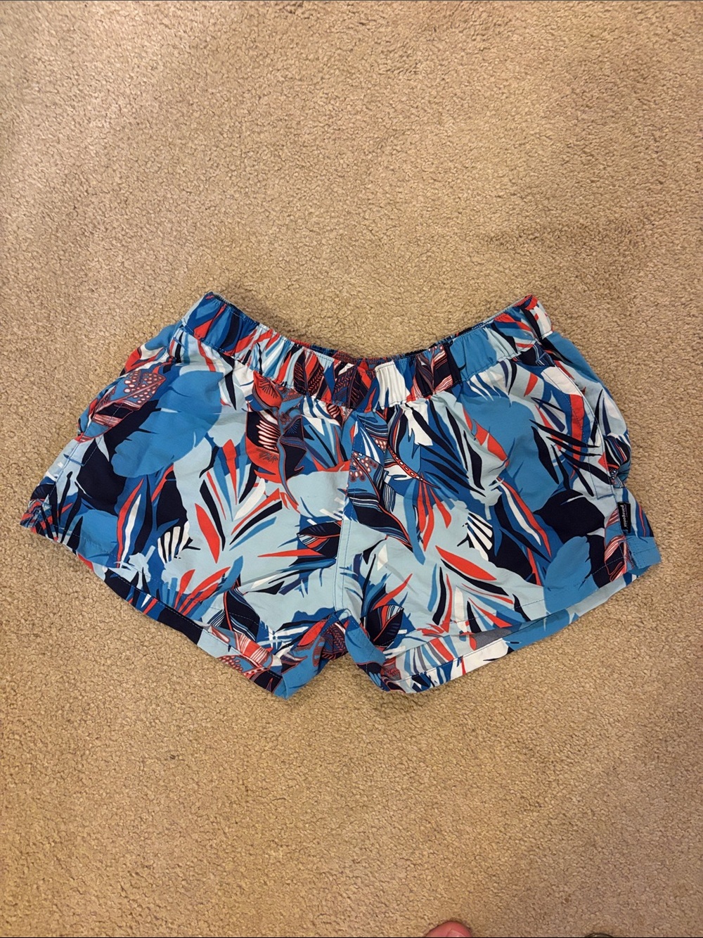 Patagonia Shorts